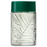 edt-arbo